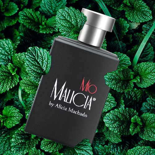 Zermat Mio by Alicia Machado Fragrance for Him - Seductive Woodsy Scent with Mint and Sandalwood Notes