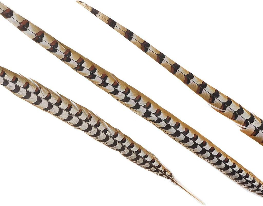 ZUCKER Pheasant Tail Feather Craft Supplies - 30-40" Natural Golden Brown Home Decor 12pcs