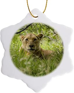 3 inch Snowflake Porcelain Ornament - South African Lioness, Hluhulwe, South Africa-AF42 MPR0025 - Maresa Pryor Lions