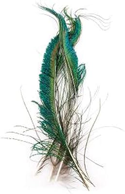 Peacock Herl and Swords Peacock Swords (6 pack)