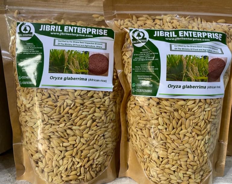 African rice,Oryza glaberrima paddy, 100% natural and organic, no additives, including phyto sanitary certificate (200g)