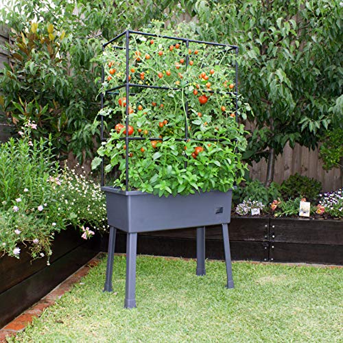 Frame It All Hydroponic Tower With Trellis Frame And Greenhouse Cover, Vertical Garden Planter For Vegetables And Flowers, Self-Watering Garden Tower With 3.43-Gallon Water Storage, 15.75 X 23.5 X 63 #TOP2