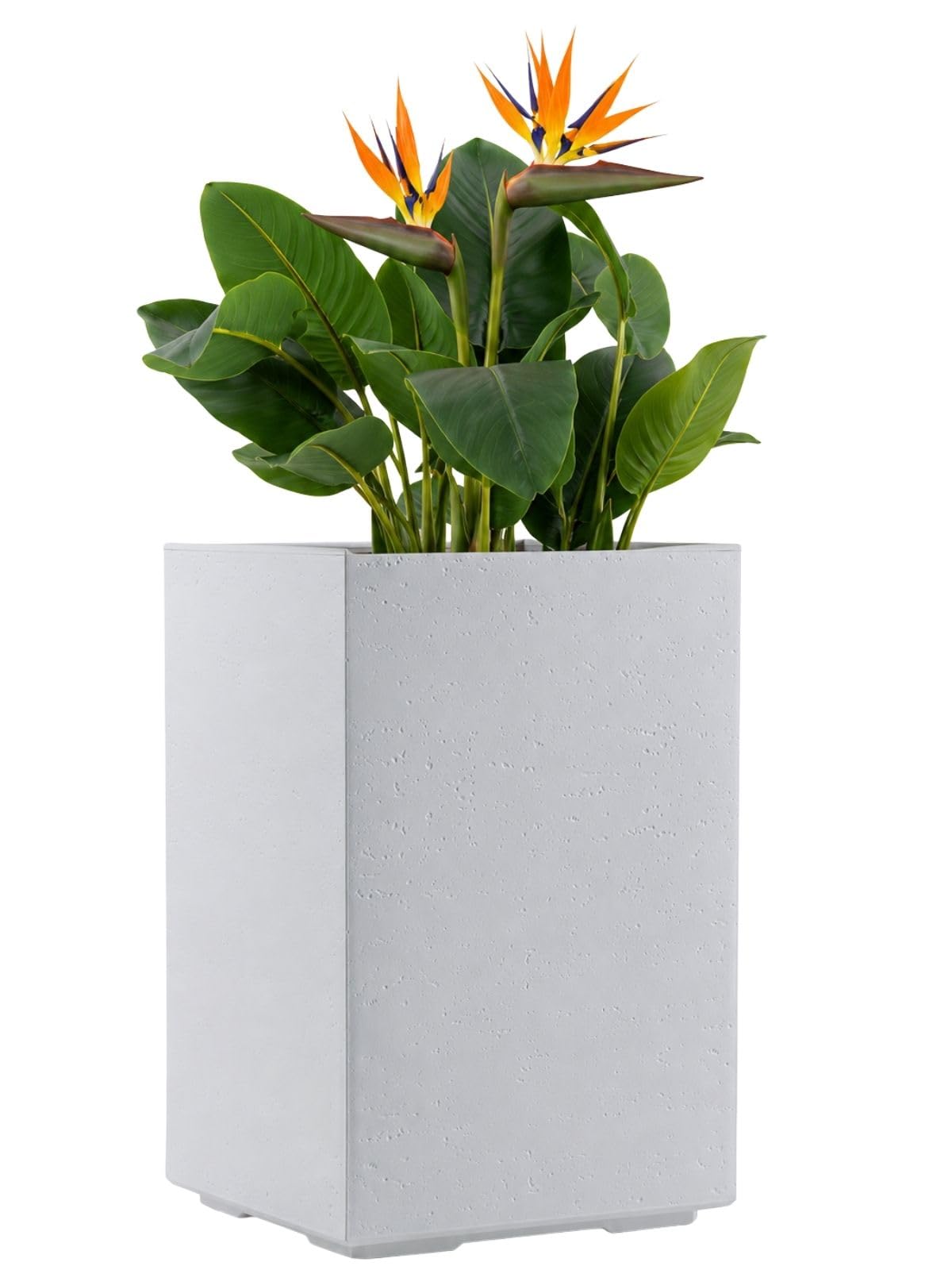 HowHomely Planter Flower Pot Plant Pot Height 60 x 40 x 40 cm on Wheels Cream Decorative