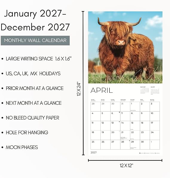 Highland Cows 2027 Wall Calendar, 12 x 24 Hanging Pacific Waters Press