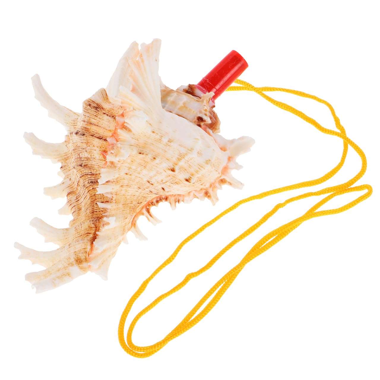 UPKOCH Cuerno Natural De Caracola De Mar 5.51 Pulgadas Silbato Instrumento Musical Versátil Para Niños Juguete De Viaje Con Sonido Melodioso Para Fiesta Y Decoración