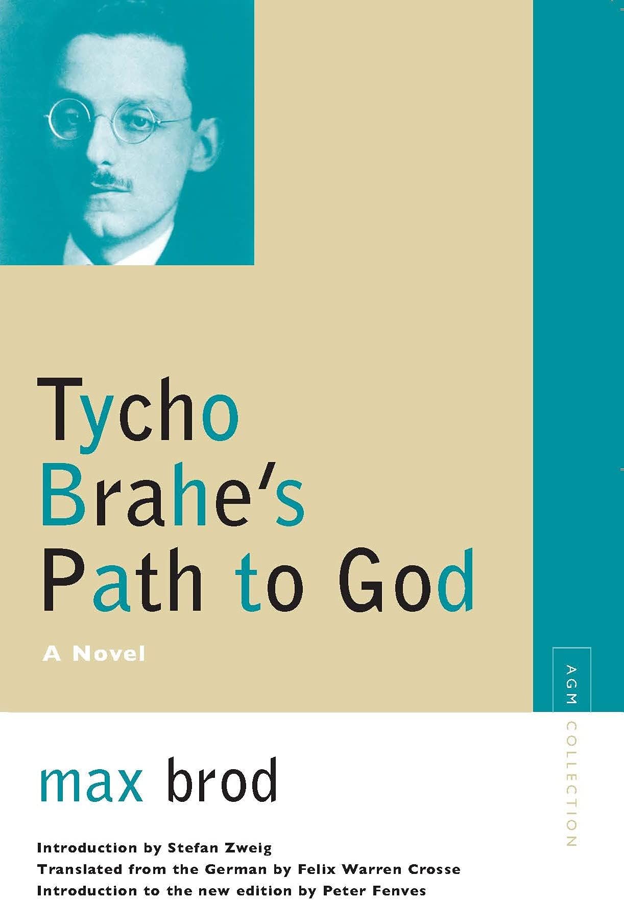 Tycho Brahe's Path to God: A Novel