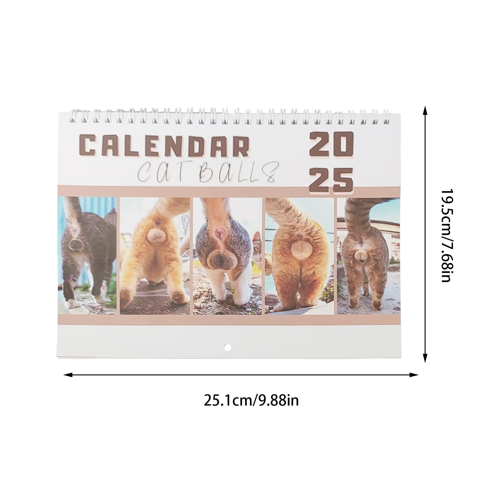 Calendrier Compte À Rebours Noël 2025, Calendrier 2d Acrylique Chats