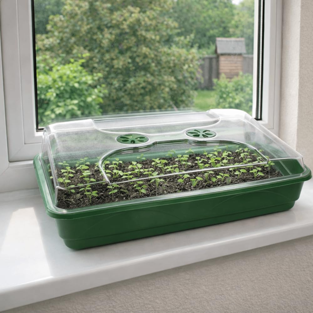 Gardening Naturally Large Shallow Propagator Seed Tray Plastic Seed Sowing Tray for Germination Plug Plants and Cuttings Greenhouse Growing Tray 58 x 38 cm UK Made