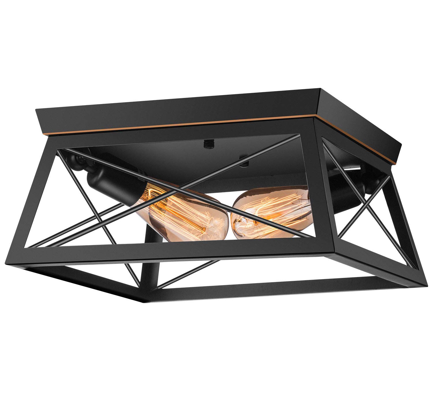 Buy Pynsseu Industrial Ceiling Light, 2 Lights Farmhouse Semi Flush