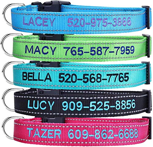 Moonsea Personalized Dog Collar, Custom Embroidered Pet Name and Phone Number 4 Adjustable