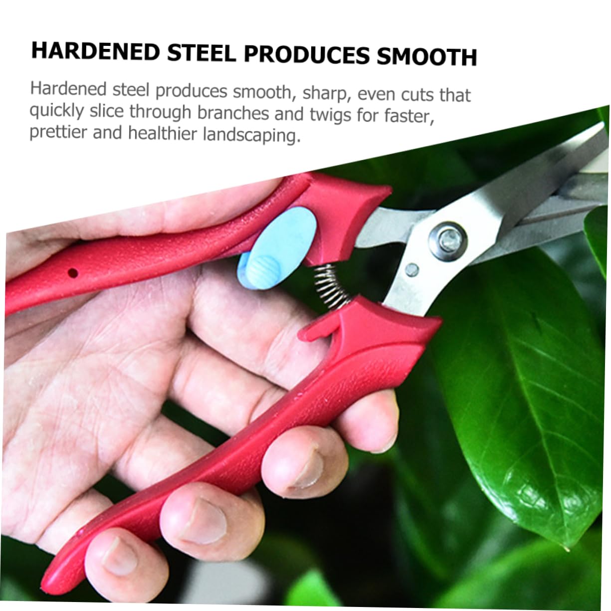 BESPORTBLE 3pièces Sécateur De Jardinage Ergonomique Inoxydable Cisailles De Prise De Fruits Et Fleurs Outil De Et Léger Pour Branches Et Plantes Prise Antidérapante Et Design