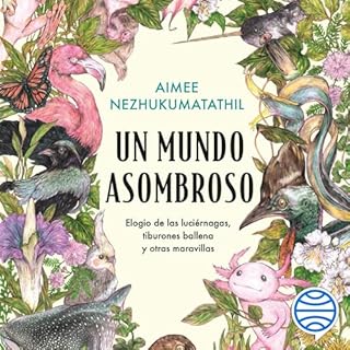 Diseño de la portada del título Un mundo asombroso