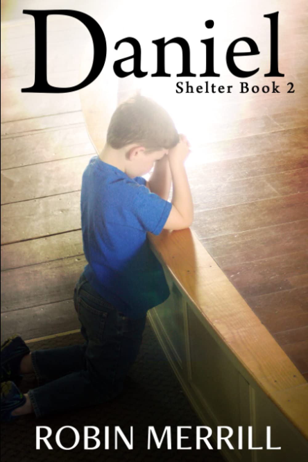 Daniel (Shelter Christian Fiction Trilogy)