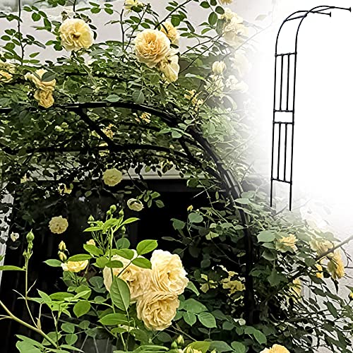 Wedding Metal Arch, Half-Side Trellis for Climbing Roses, Wrought Iron Pergola, Outdoor Gazebo Decoration for Lawn & Patio (Black)