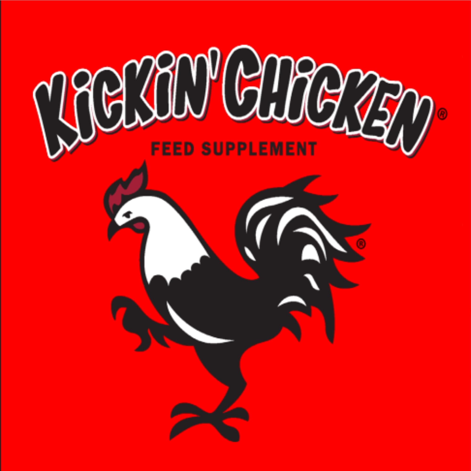 KICKIN CHICKEN 32OZ/946ML : Healthy Coat-Soy Inc: Amazon.ca
