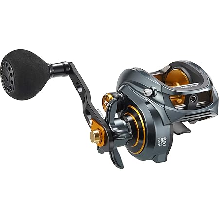 Amazon アブガルシア Abu Gacia ベイトリール Oceanfield Bg アブガルシア Abu Garcia スポーツ アウトドア