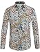 SSLR Men's Paisley Cotton Long Sleeve Casual Button Down Shirt (Large, Blue Red)