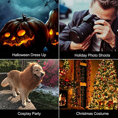 Rwm Dog Lion Mane Costume - Pet Wig Clothes For Halloween Party - Lion Wig For Medium To Large Sized Dogs Lion Mane Funny Dogs #TOP6