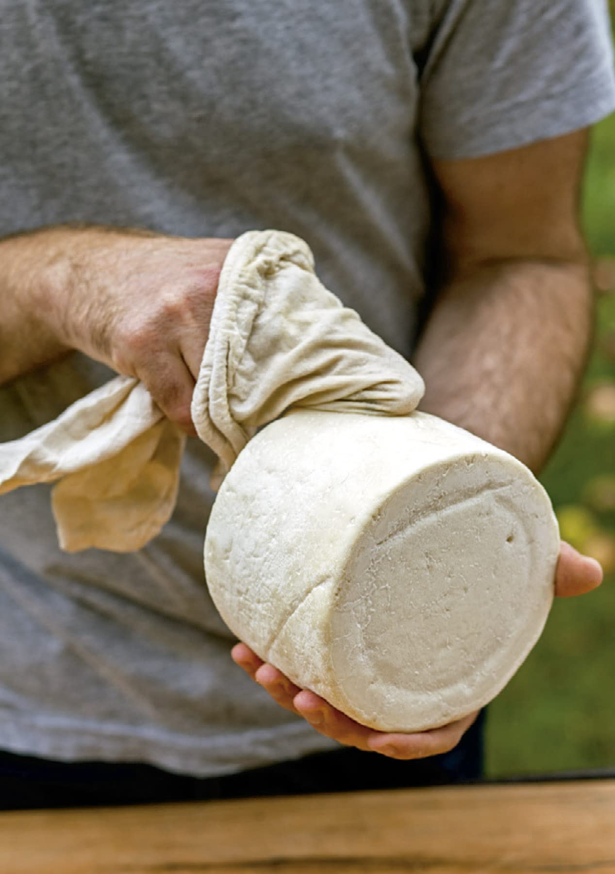 El arte de hacer queso (Los ilustrados)