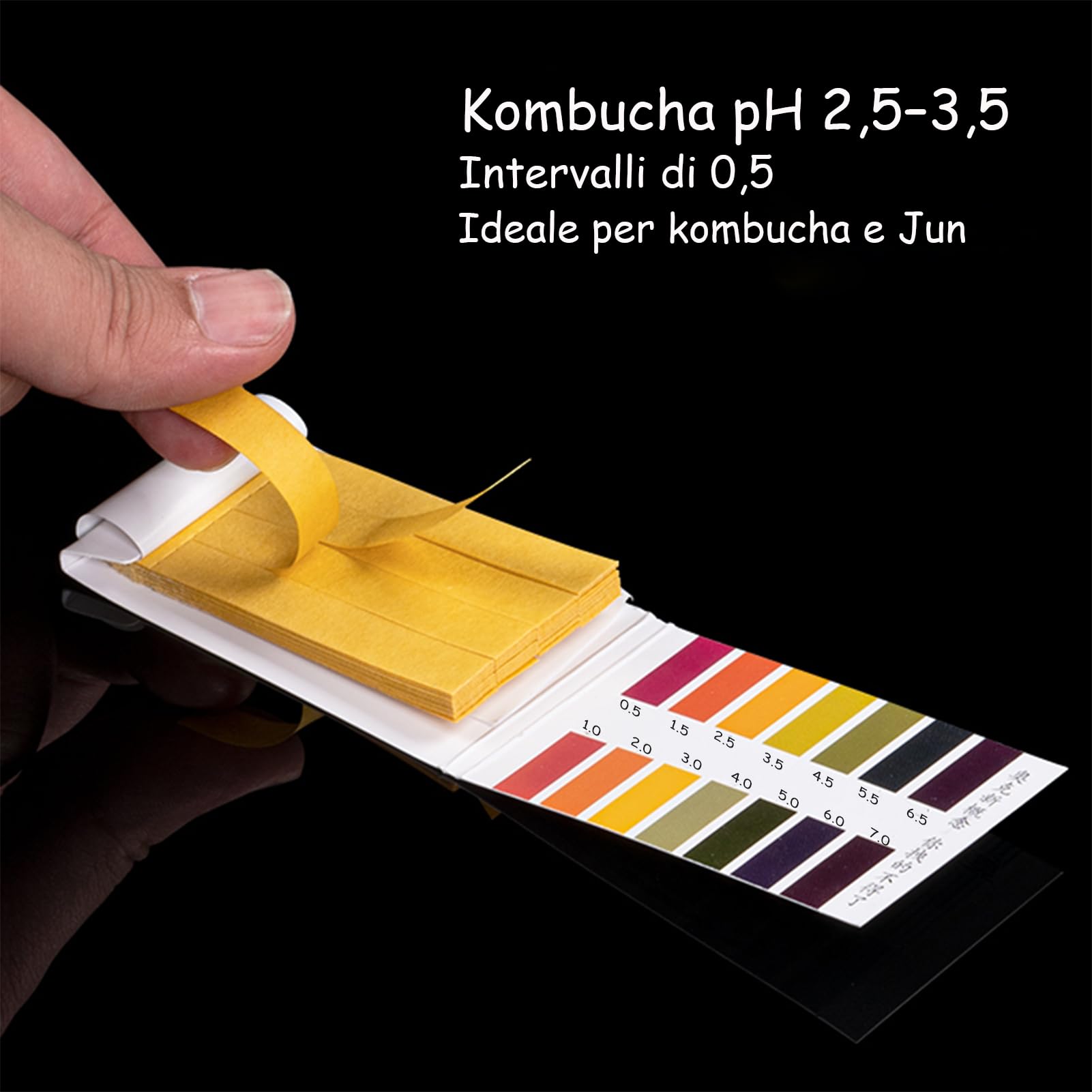 Kit de Démarrage Kombucha et Jun avec Bocal en Verre 5,5L, Robinet Inox, Accessoires de Fermentation Continue, Bandelettes pH, Thermomètre, Housse, Entonnoir et Filtres