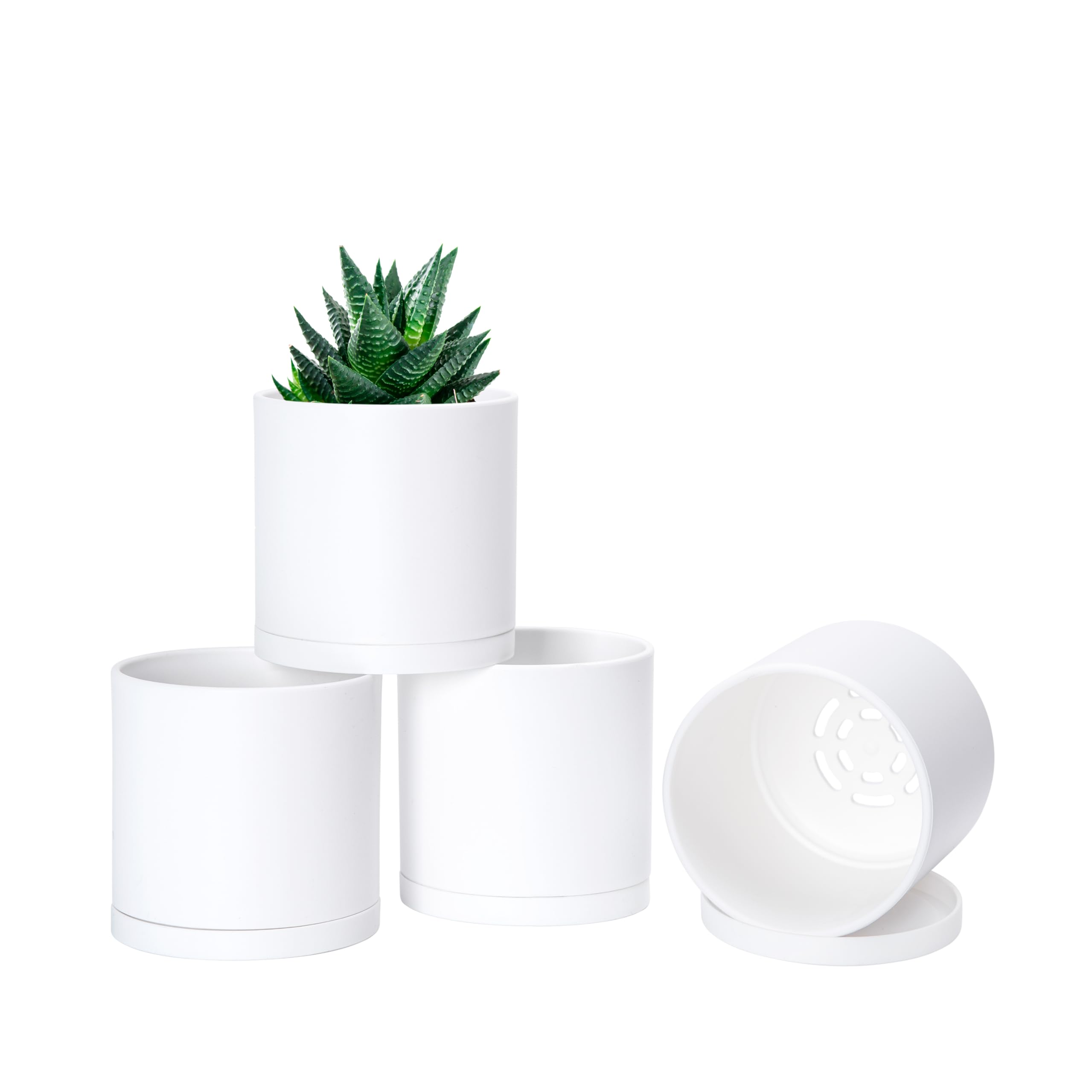 D'vine Dev White Plant Pots