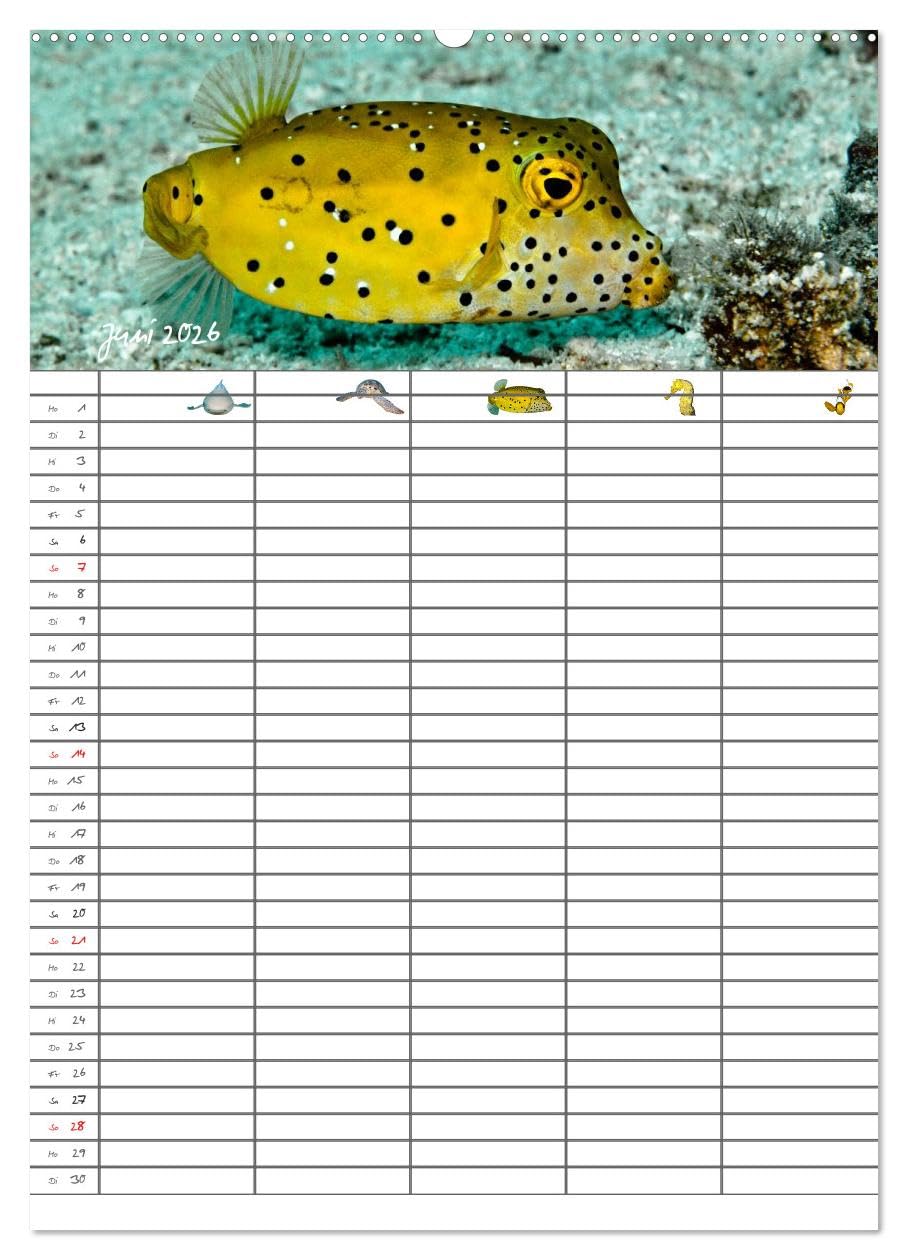 Der Unterwasser Familienplaner 2026 (hochwertiger Premium Wandkalender 2026 DIN A2 hoch), Kunstdruck in Hochglanz
