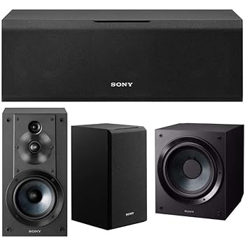 10 inch 2 way speaker