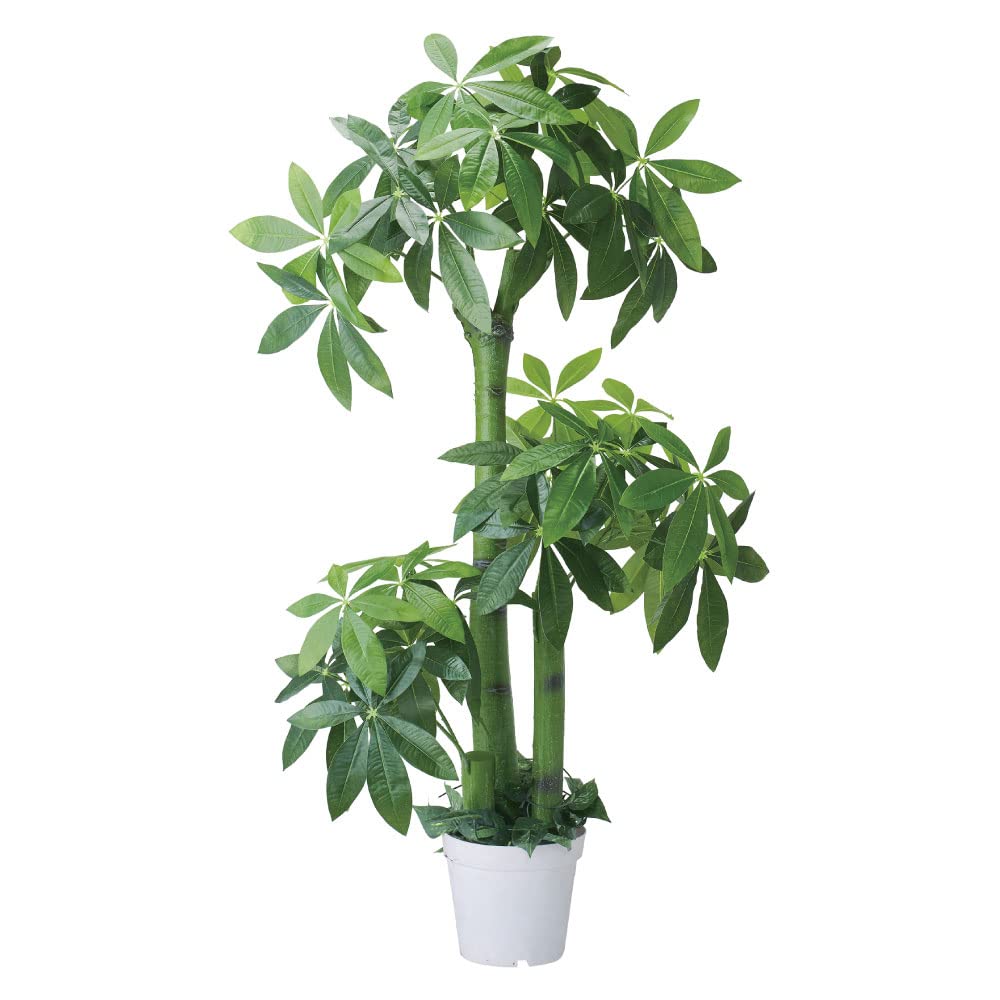 フェイクグリーン　バキラ 人工観葉植物 150cm 不二貿易 フェイクグリーン パキラ 高さ150cm 朴タイプ （ 観葉