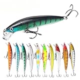 GIEEU Set di 10 Esche Artificiali, Swimbait Galleggianti con Sonagli in Plastica Rigida Realistiche con Occhi 3D Realistici, Raglou Pesca Mare per la Pesca in Acqua Salata e Dolce