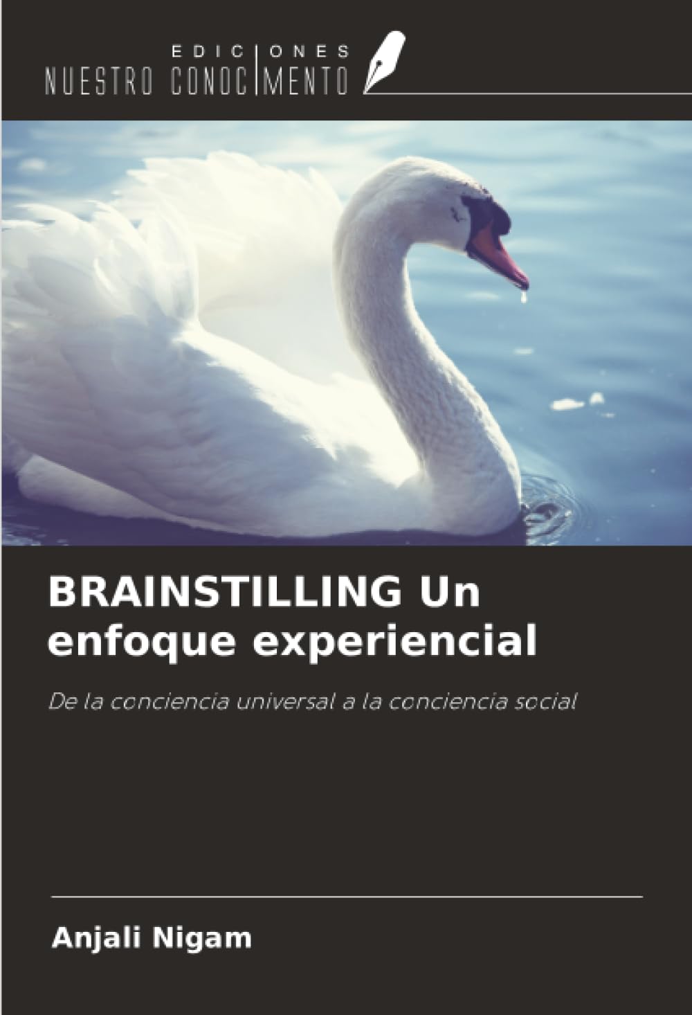 BRAINSTILLING Un enfoque experiencial: De la conciencia universal a la conciencia social