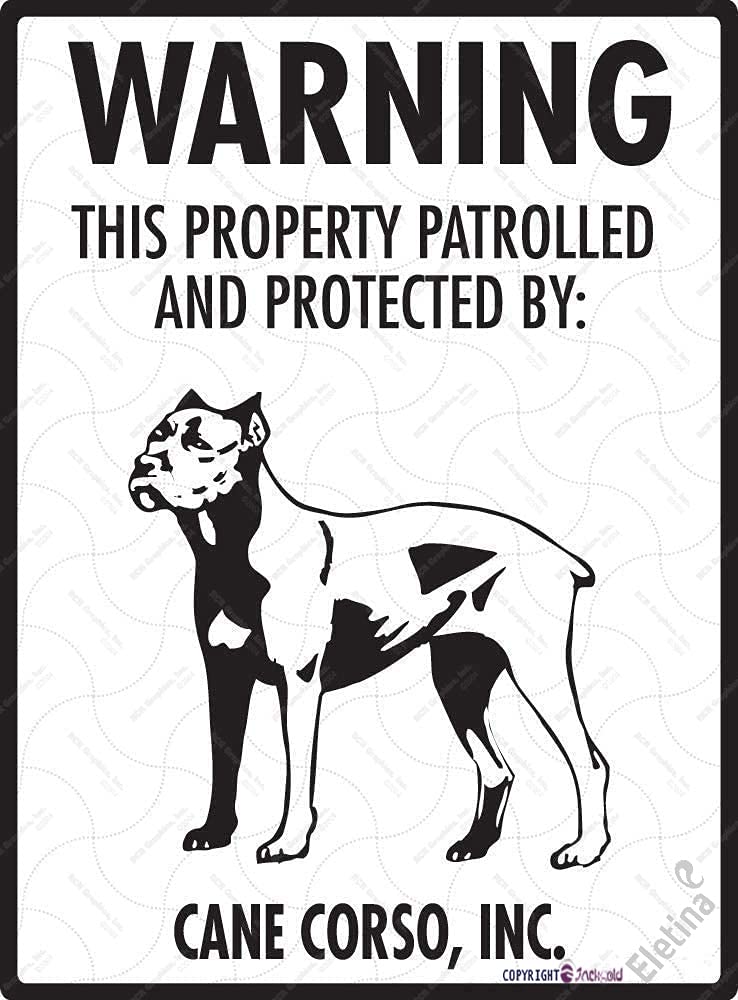 SunHurry Targa commemorativa Personalizzata in Ardesia per Animali Domestici, lapide con Foto e Supporto, commemorativo per Cani defunti, lapide Personalizzata, 10x14/14x20/20x30 cm