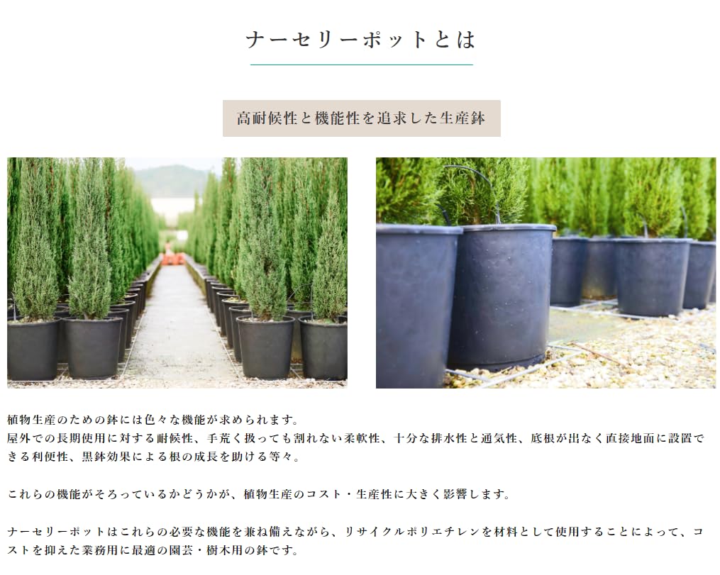 Amazon.co.jp: ナーセリーポット(生産者用育成ポット） RP58(19号鉢