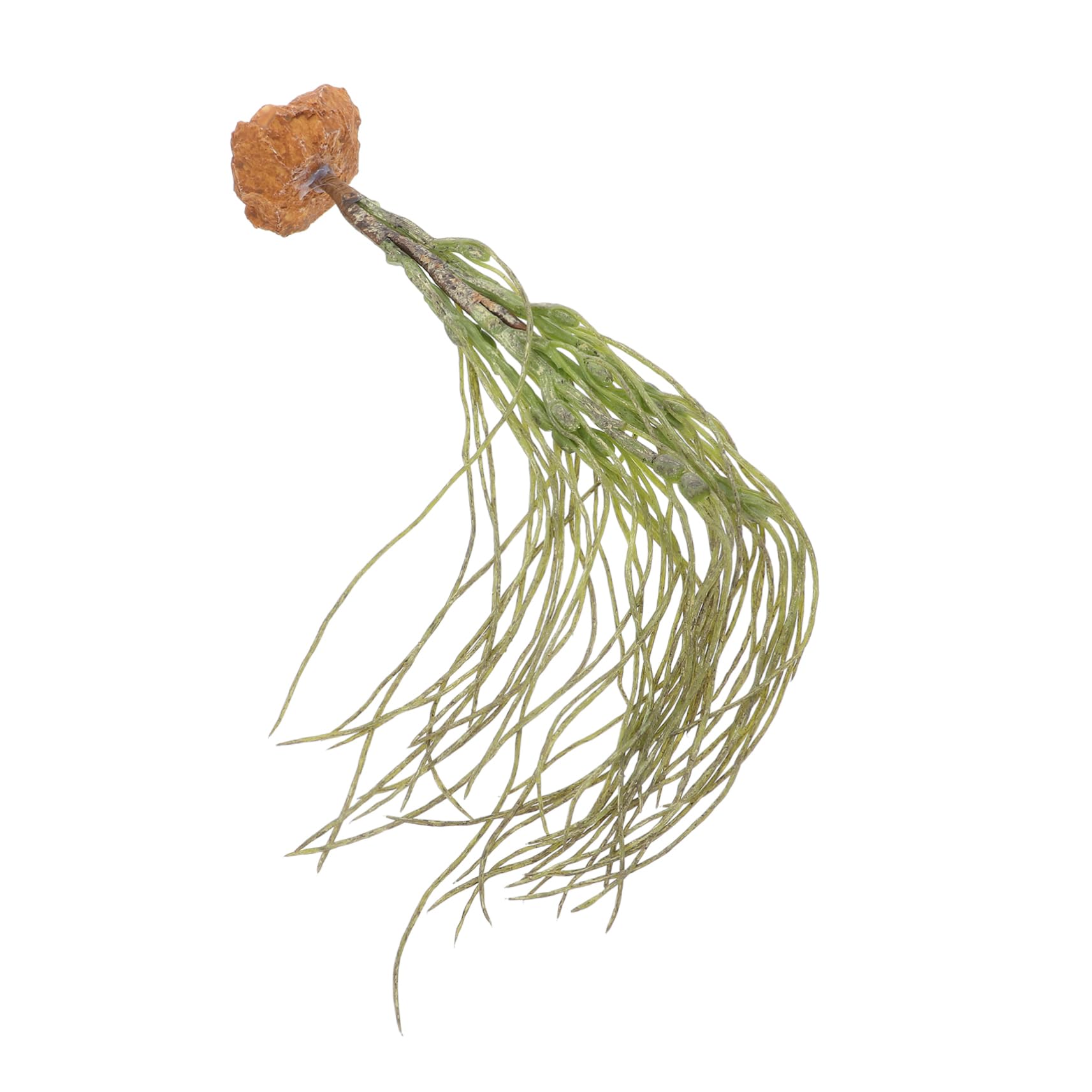 BESPORTBLE Multispecies Compatible Reptile Decor Axolotl Fish Bowl Accessories Bearded Dragon Tank Accessories Easy Install