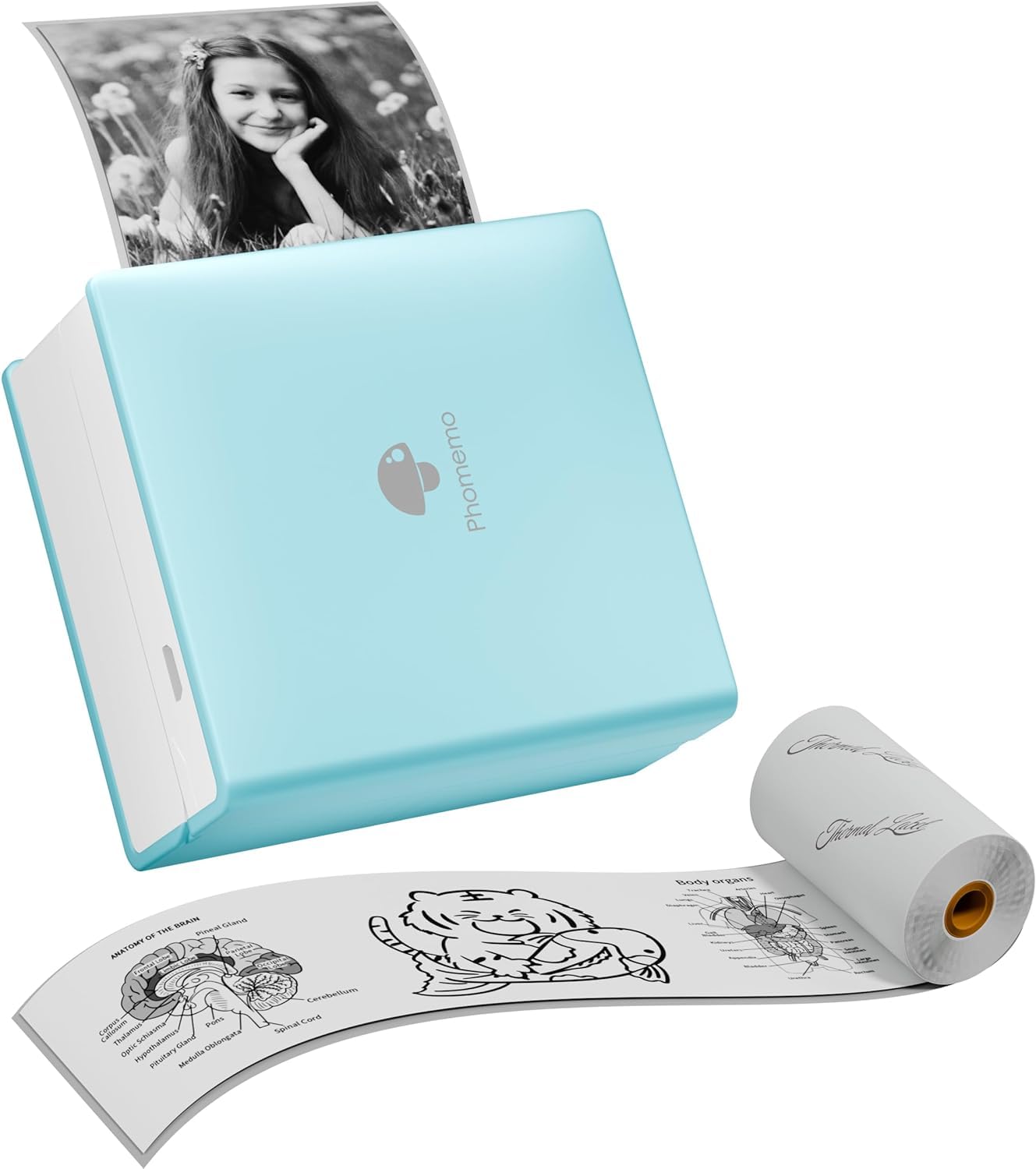 Mini drukarka PlayGround® z Bluetooth i 1 rolką etykiet — przenośna drukarka termiczna do smartfona — idealna do studiów, notatek, zdjęć, zdjęć i czasopism