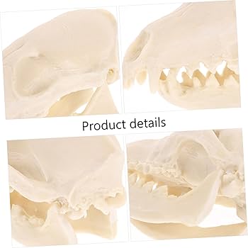 ANIMAL SKELETON & Skull Realistic Bones Scary Halloween Party Props Decorations £4.95 - UK