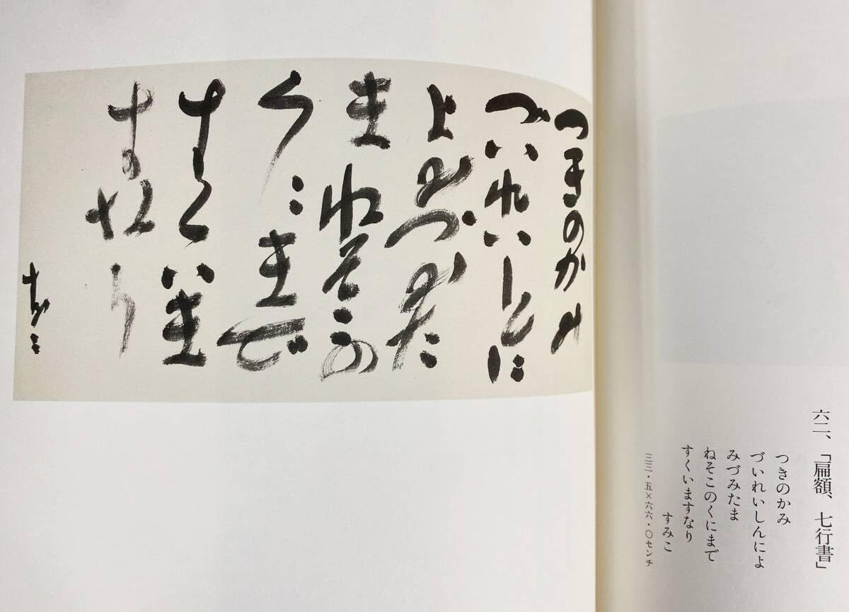 出口すみこ作品集書画染物