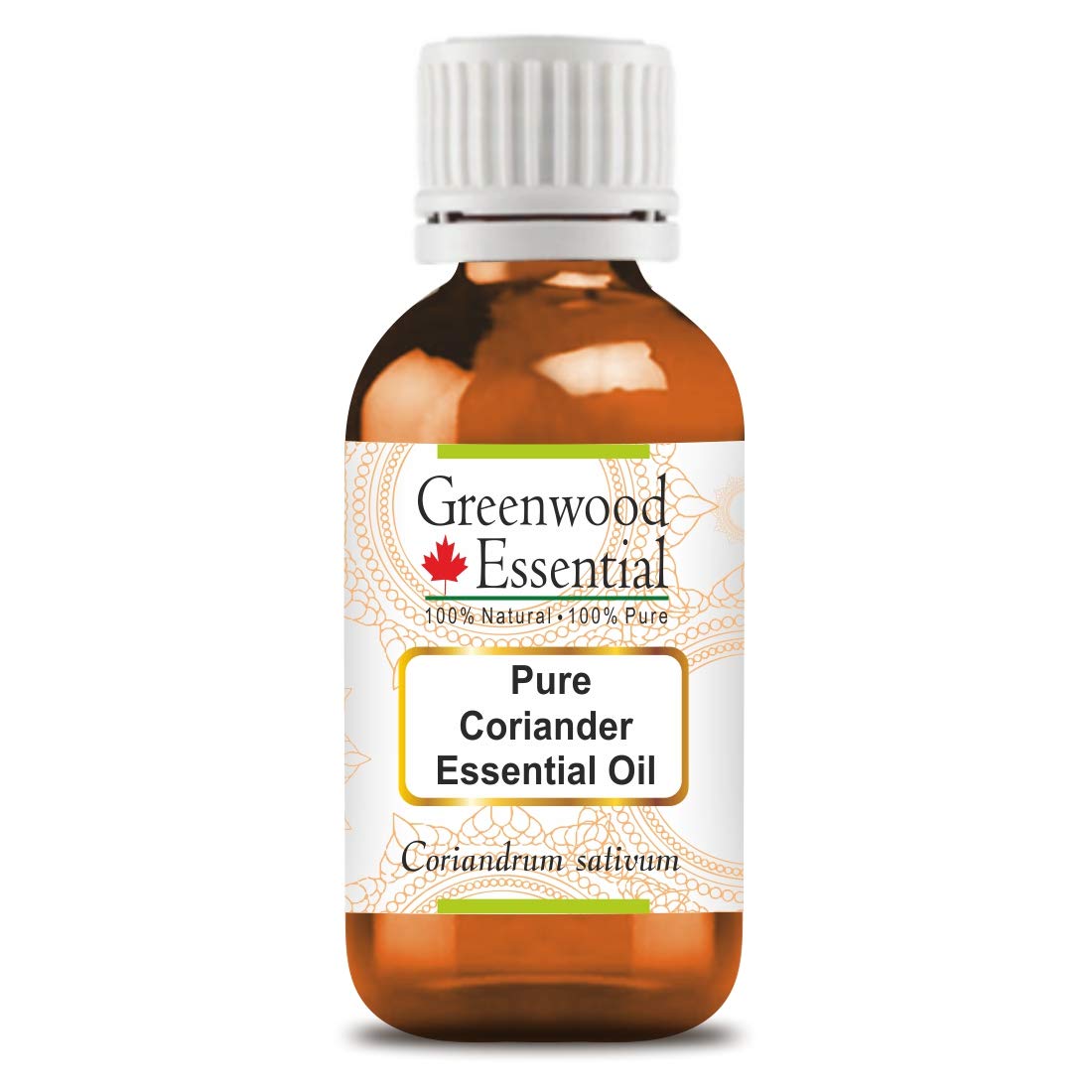 Greenwood Essential Naturreine Ätherisches Korianderöl (Coriandrum sativum) Dampfdestilliert 100ml (3.38 oz)
