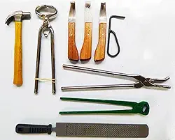 Casqueamento Profissional Ferrageamento E