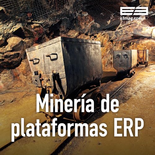 Plataforma ERP Miner&iacute;a