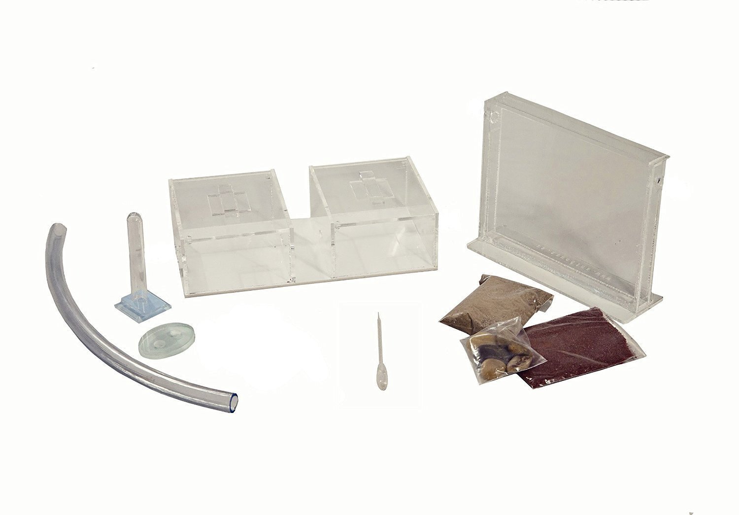 AntHouse - Fattoria di formiche di sabbia naturale | Mini set (sandwich + scatola per alimenti) | Compreso il formicaio
