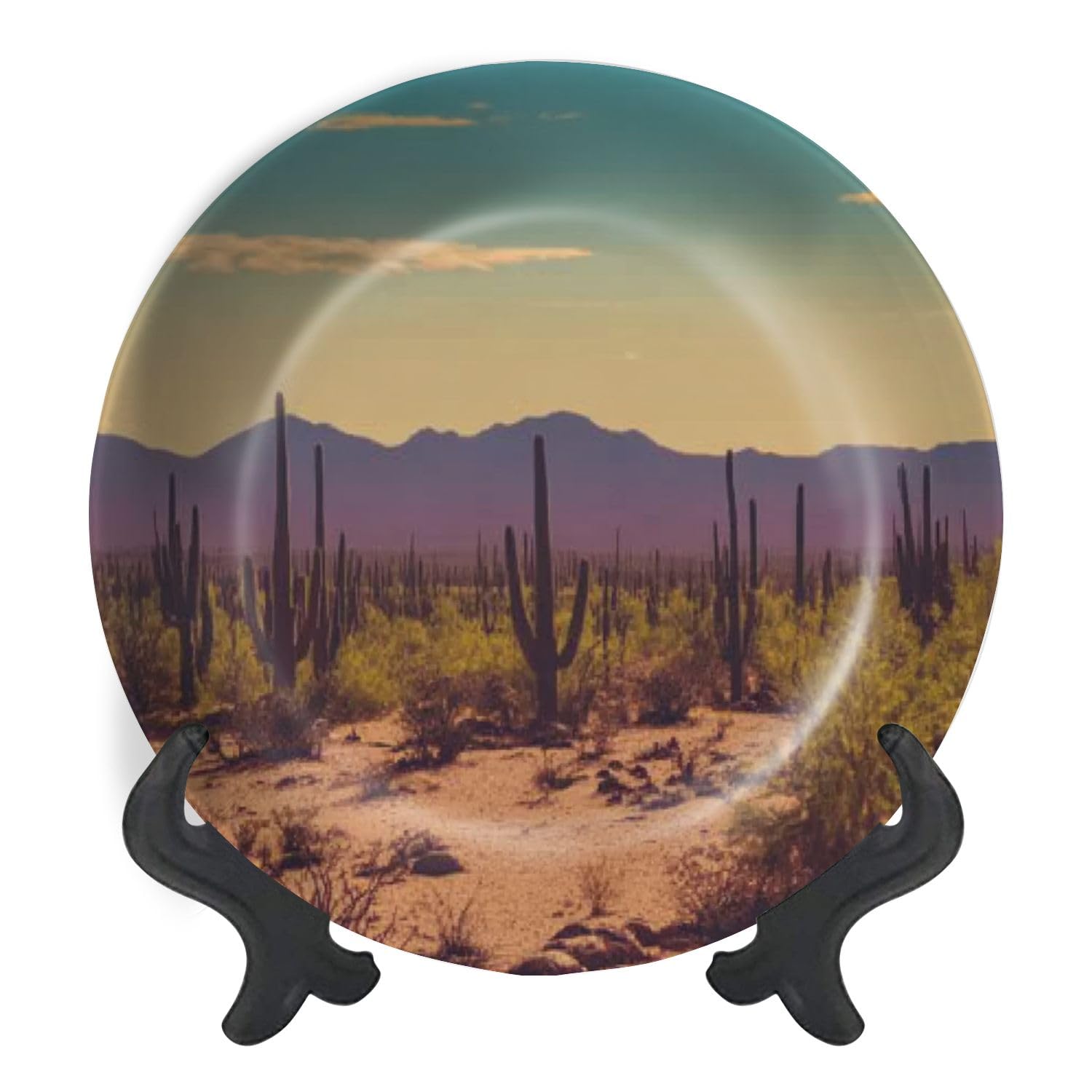Decorative Plates for Display Desert Landscape Cactus Gift Plates Ceramic Collections Plates Hanging Artwork for Living Dining Room Kitchen Souvenir
