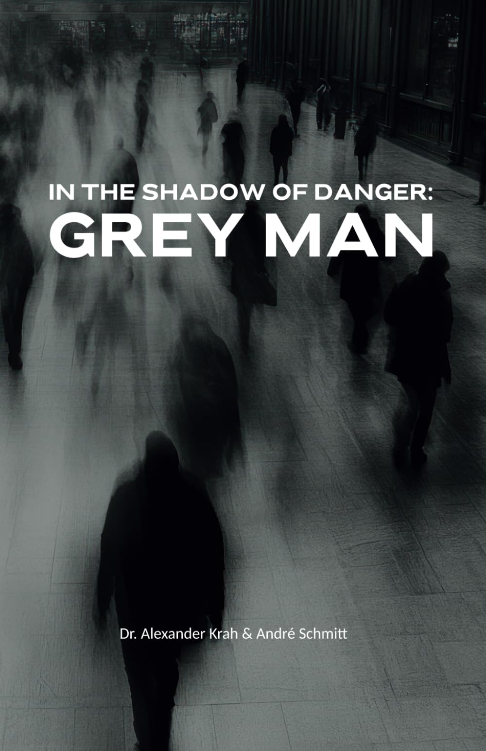 In the Shadow of Danger: Grey Man
