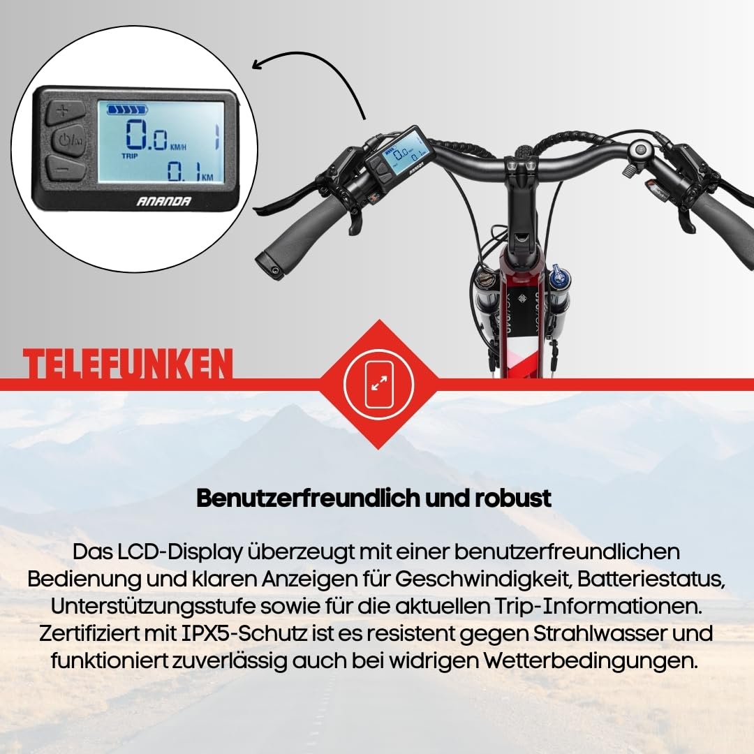 TELEFUNKEN E-Bike 28 Zoll Fahrrad für Damen & Herren | Trekking Pedelec mit 8-Gang / 24-Gang Kettenschaltung & Scheibenbremsen | Elektrofahrrad mit 250 W Heckmotor & integriertem 417,6 Wh Li-Ion-Akku