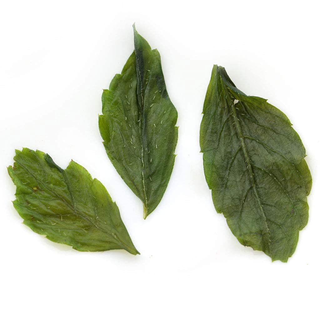 GOARTEA Gynostemma Té Verde Herbal 250g 8.8oz Supreme Seven Leaf Jiao Gu Lan Green Tea - Chinese Loose Leaf Jiaogulan - Caffeine Free