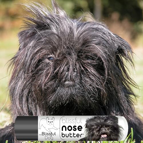 Image of The Blissful Dog Affenpinscher Nose Butter for Dry, Cracked Skin, Lick-Safe Dog Nose Balm with Moisturizing Shea Butter, Almond, Olive, and Essential Oils, Pet Supplies, Uncented, 0.15 oz.