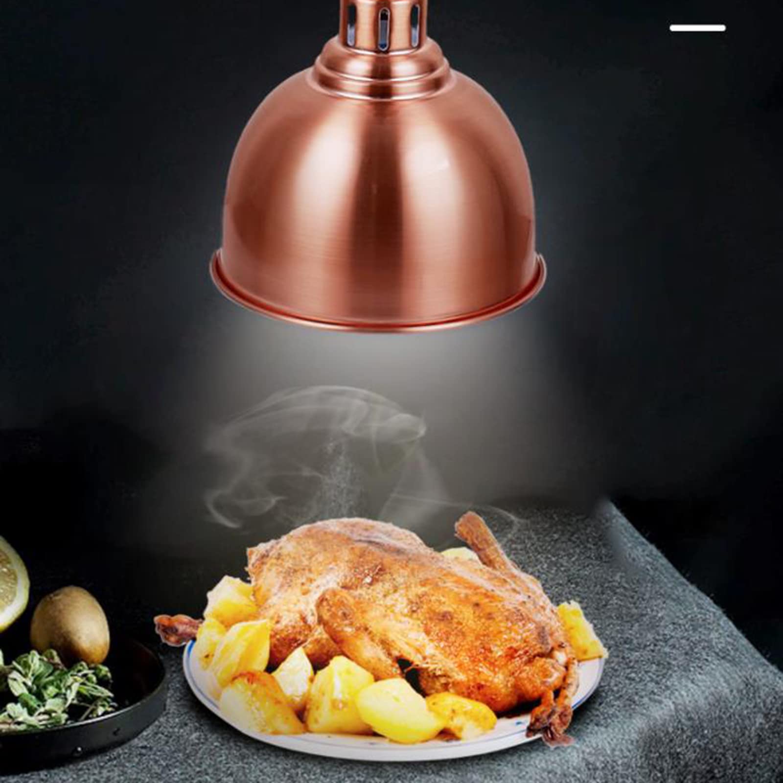 Lampada scaldavivande, scaldavivande Commerciale da 250 W, Lampada riscaldante Retrattile a Sospensione per Alimenti, per Forniture di ristorazione e Catering (G)