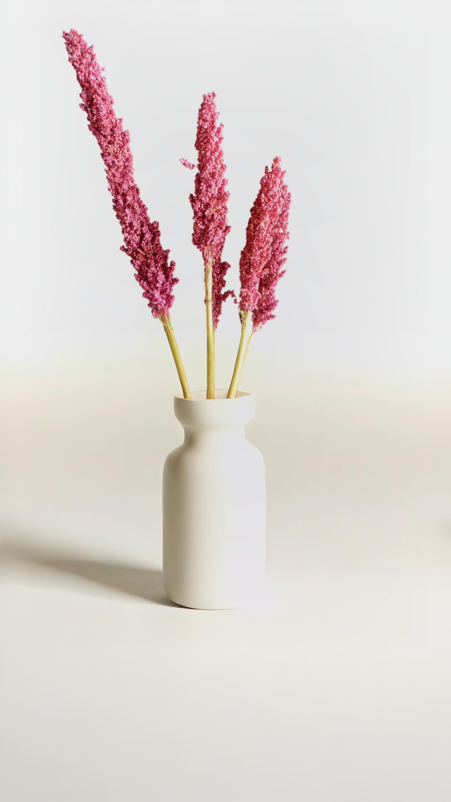 RUKDA® Dried Pink Sorghum Flower Sheaves - Dry Grass Bouquet for Wedding Table Centerpieces, Home, Office Decoration - 2 Pcs 4