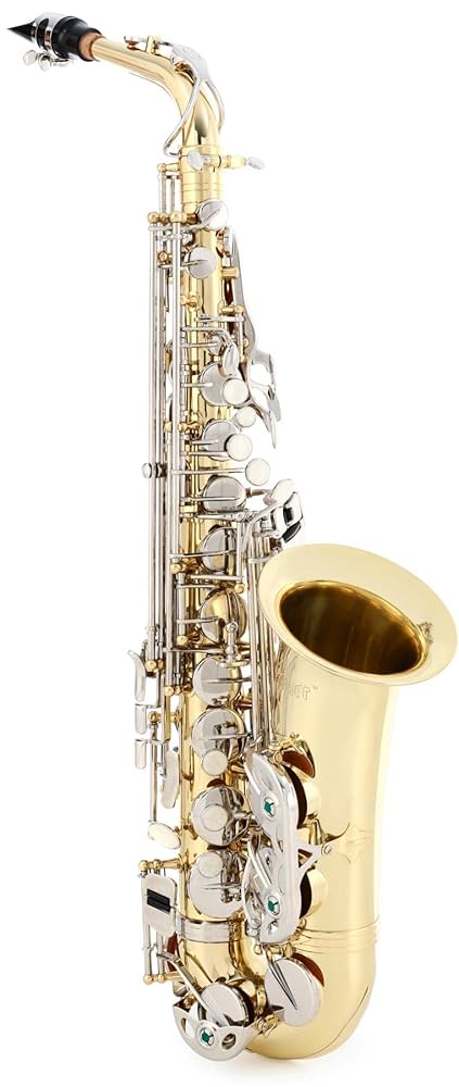 Amazon.com: Selmer SAS201 Student Alto Saxophone - Lacquer