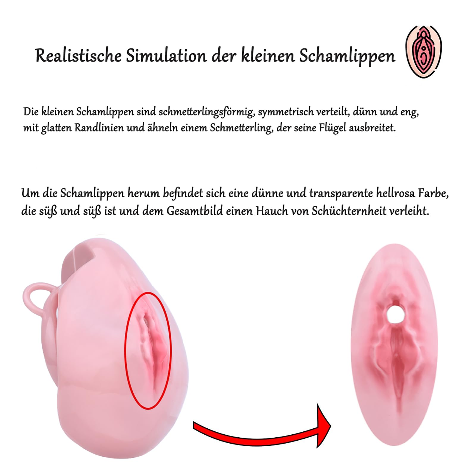 Keuschheitsgürtel für Männer– Chastity Cage mit Analplug und Realistischer Klitoris,Verstellbare Riegelgrößen,Ergonomisches Design für Komfort und Kontrolle,Ideal für BDSM und Paare(Gold)