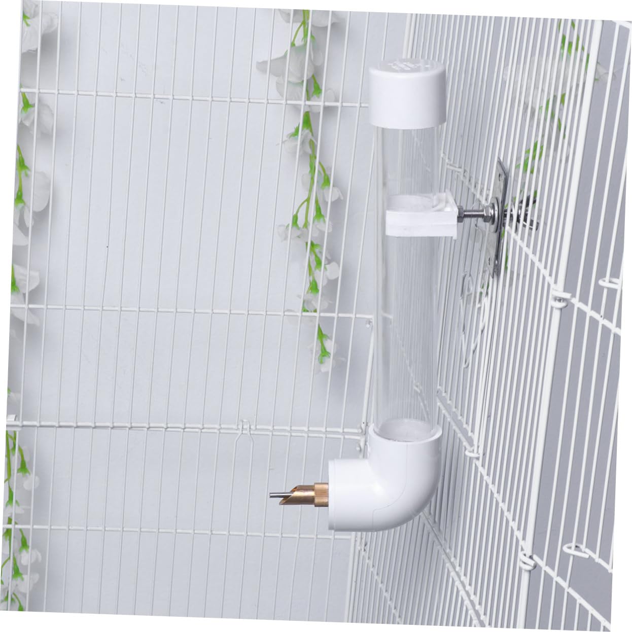 Angoily Ciotola per Acqua da Appendere alla Parete per Pappagalli di Media e Distributore d Acqua per Animali Domestici Mangiatoia Automatica per Pappagalli e Uccelli Stili multipli